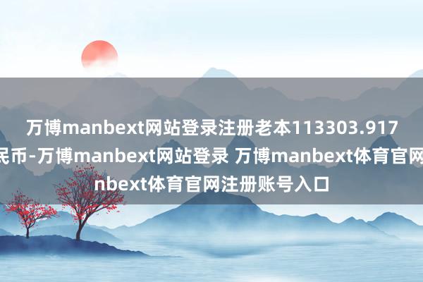 万博manbext网站登录注册老本113303.9174万东说念主民币-万博manbext网站登录 万博manbext体育官网注册账号入口
