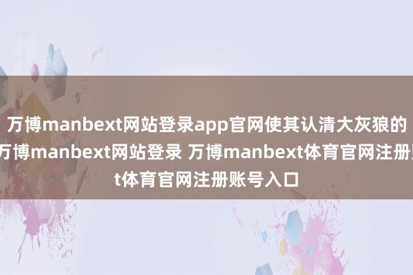 万博manbext网站登录app官网使其认清大灰狼的真面庞-万博manbext网站登录 万博manbext体育官网注册账号入口