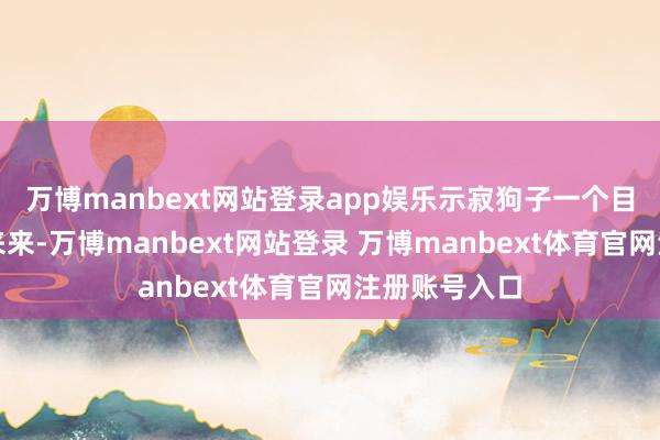万博manbext网站登录app娱乐示寂狗子一个目光示意：来来来-万博manbext网站登录 万博manbext体育官网注册账号入口